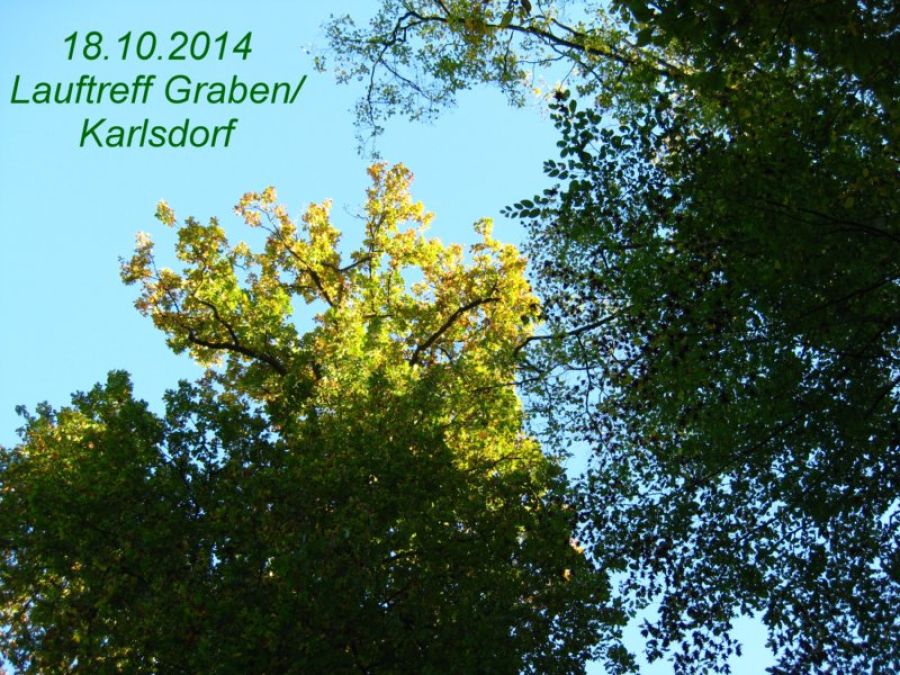 Lauftreff Graben - Karlsdorf